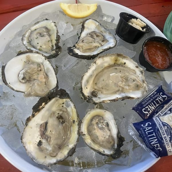 Six fresh oysters on ice with lemon, cocktail sauce, horseradish, and Saltine crackers.