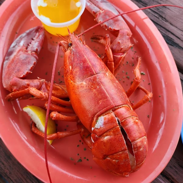 A whole cooked red lobster with a lemon wedge and melted butter on a red plate.